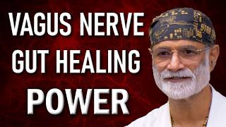 How the Vagus Nerve Heals Your Gut The Key to Digestive Health and Healing [upl. by Norvun]