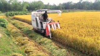 जापानी मिनी हार्वेस्टर II Kubota mini harvester [upl. by Feucht]