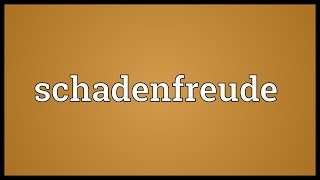 Schadenfreude Meaning [upl. by Adnoma]