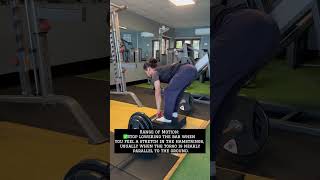 RDL rdl deadlift deadlifts weightlifting weightliftingmotivation gymmotivation gymlife gym [upl. by Iclek]