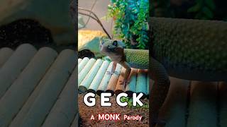 GECK A Parody of MONK adrianmonk leopardgecko funnyanimal lieutenantpancake [upl. by Sergu]