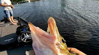 Casting weedless lures for Pickerel and Smallmouth  lundboats fishing [upl. by Hgieleak791]