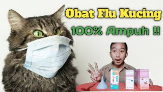 Cara Mengobati Kucing Flu  Dijamin Ampuh [upl. by Nairehs844]