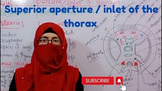 Superior aperture of thorax  inlet of the thorax  boundaries  plane  contents  thorax anatomy [upl. by Kentigerma]