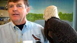 National Eagle Center  Wabasha Minnesota [upl. by Vergne]