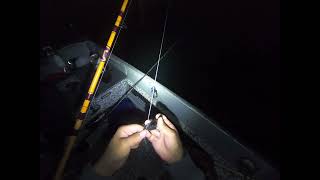 Bass fishing in Long Beach lobsterfishing fishingvideo lobstering fishing fishingmethods [upl. by Adnorhs666]