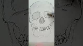 DAY 1  Part 1 front view of human skull ✍️ explore youtubeshorts shortsfeed skull drawing [upl. by Nnylarac]