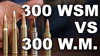 300 WSM vs 300 Winchester Magnum [upl. by Sulienroc]