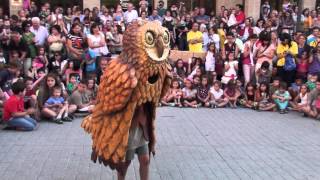 Ball del Xut a la 17a TROBADA DE GEGANTONS DE SANT ROC de Solsona 2014 [upl. by Darby134]