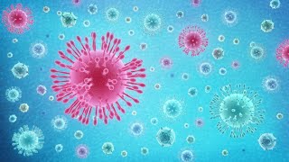 What Is Coronavirus COVID19 [upl. by Nrevel]