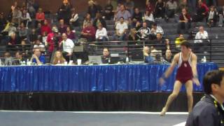 Alexander Naddour  Floor Exercise  2010 Winter Cup  Day 1 [upl. by Dolphin]