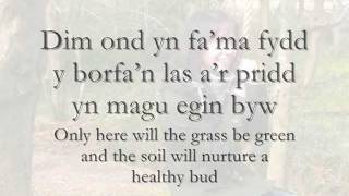 Dim Ond yn Fama  Meinir Gwilym geiriau  lyrics [upl. by Athalie]