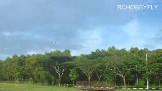 CopterX CX 450AE V3 Flybarless Kit Practise with CX3X1000 [upl. by Yate922]