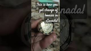 Loonies change in Canada shorts canada dollar [upl. by Raji]