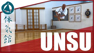 HOW TO UNSU – SLOW amp FAST  Shōtōkan Karate Kata by Fiore Tartaglia [upl. by Seabrooke]