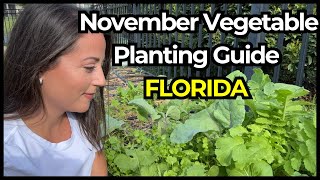 23 Essential Vegetable Crops Every Florida Gardener Needs in November [upl. by Yeldnarb767]