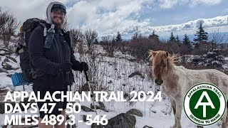 500 Miles 50 Days First 20 Mile Day  Appalachian Trail 2024  Days 4750 [upl. by Lynelle]