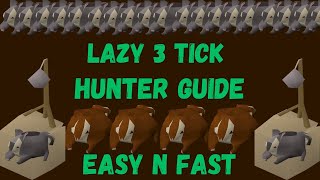 UPDATED EASY 3 TICK HUNTER GUIDE for lazy people [upl. by Christmas]