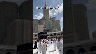 Tajdar E Haram youtube atifaslam best viralshort shorts yt [upl. by Mckeon]