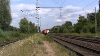 NoHAB Altmark Rail 92 80 1227 0080 Kartoffelkäfer einzeln in Maintal Ost [upl. by Akeim]