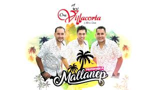 Los Villacorta  Homenaje a Mallanep Audio [upl. by Bette-Ann727]