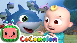 Baby Shark amp CoComelon Nursery Rhymes  Fun Kids Songs Compilation for Toddlers [upl. by Adnahc]