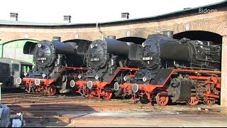 DampflokFest Staßfurt 2014 12  Steam Train  Züge [upl. by Nalrah17]