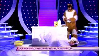 Ben amp Arnaud Tsamere 7 Les chats vontils dominer le monde  ONDAR [upl. by Meave]