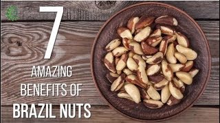 7 Amazing Benefits Of Brazil Nuts  Organic Facts [upl. by Whitson]