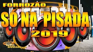 FORROZÃO SÓ NA PISADA 2019  CD COMPLETO [upl. by Hynda]