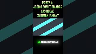 PARTE 4 ¡Descubre el Misterio de las Rocas Sedimentarias 🌍🪨 educacionsteam rocassedimentarias [upl. by Nedia]