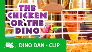 Dino Dan  The Chicken or the Dino  Supercut [upl. by Annaliese]