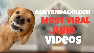 Funniest AGuyandAGolden VIRAL June Skits [upl. by Volding697]