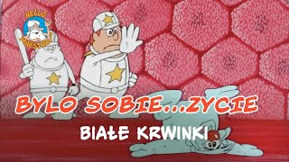 Bylo Sobie Zycie 🌱  Białe krwinki 🧘 [upl. by Llenaej]