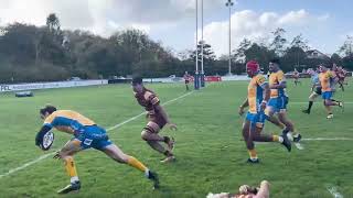 Watch Round 7 Highlights between Sedgley Park and Plymouth Albion [upl. by Carvey]