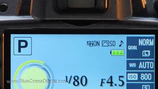 Introduction to the Nikon D3200 Basic Controls [upl. by Brier]