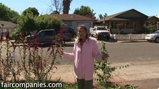 Edible yard organic veggies amp foraging for palatable weeds [upl. by Toombs]