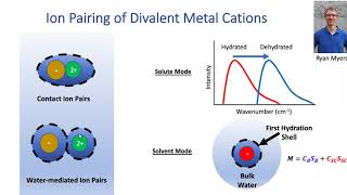 Ion Pairing of Divalent Metal Cations [upl. by Glad]