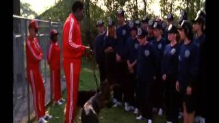 Police Academy 3  Dog training scene [upl. by Artapoelc10]