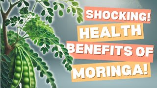 Moringa Leaves A Shocking Nutrient Powerhouse You Need Now [upl. by Lory538]