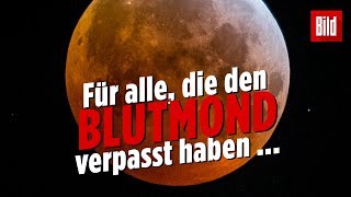 Highlights So grandios leuchtete der Blutmond [upl. by Eniamerej176]