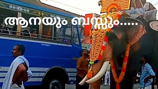 ആനയും ബസ്സും ഒരുമിച്ച് പോയപ്പോൾbus and elephant bus pooram [upl. by Nachison]