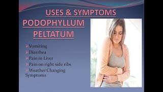 Podophyllum peltatum 30 uses in hindi  LIVER TONIC  Pain in ribs right side  Vomiting [upl. by Andriana]