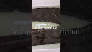 2nd Soak After 6 Months  Year 4 Indigo Invitational shorts [upl. by Iaria]