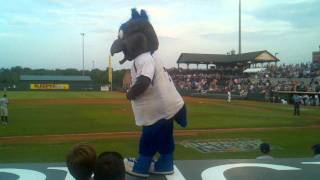 Dancing Ferrous from the Ironbirds game [upl. by Mariya]