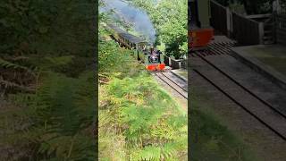 No8 quotLlewelynquot on the climbing past Rheidol Falls halt on the Vale of Rheidol Railway shorts [upl. by Towne]