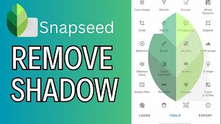 How to Remove Shadow in SnapSeed 2024 [upl. by Epoh]