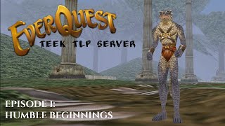 Everquest  How I play a Necromancer Necromancer Guide [upl. by Artimid]