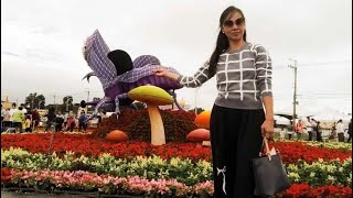 International flower festival flowers variety Taiwan flowervarieties flowerfestival trending fun [upl. by Heilman]