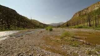 Wyoming Backwater Fly Fishing [upl. by Ulane]